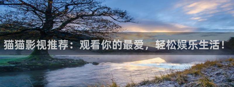 奇优影院最新版：猫猫影视推荐：观看你的最爱，轻松娱乐生活！