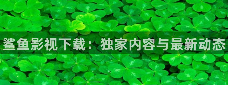 伦理奇优影院：鲨鱼影视下载：独家内容与最新动态