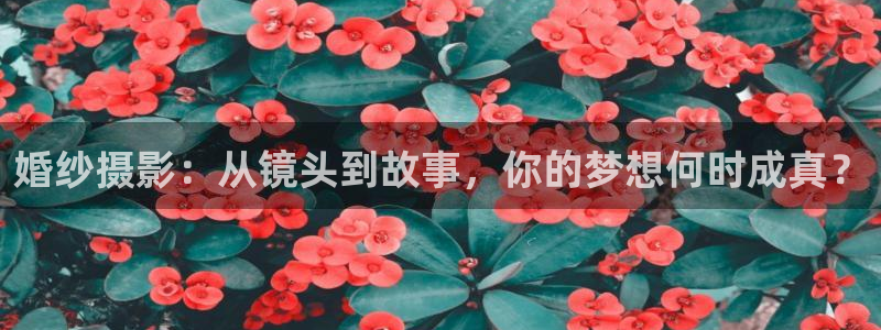 奇优电影免费高清：婚纱摄影：从镜头到故事，你的梦想何时成真？